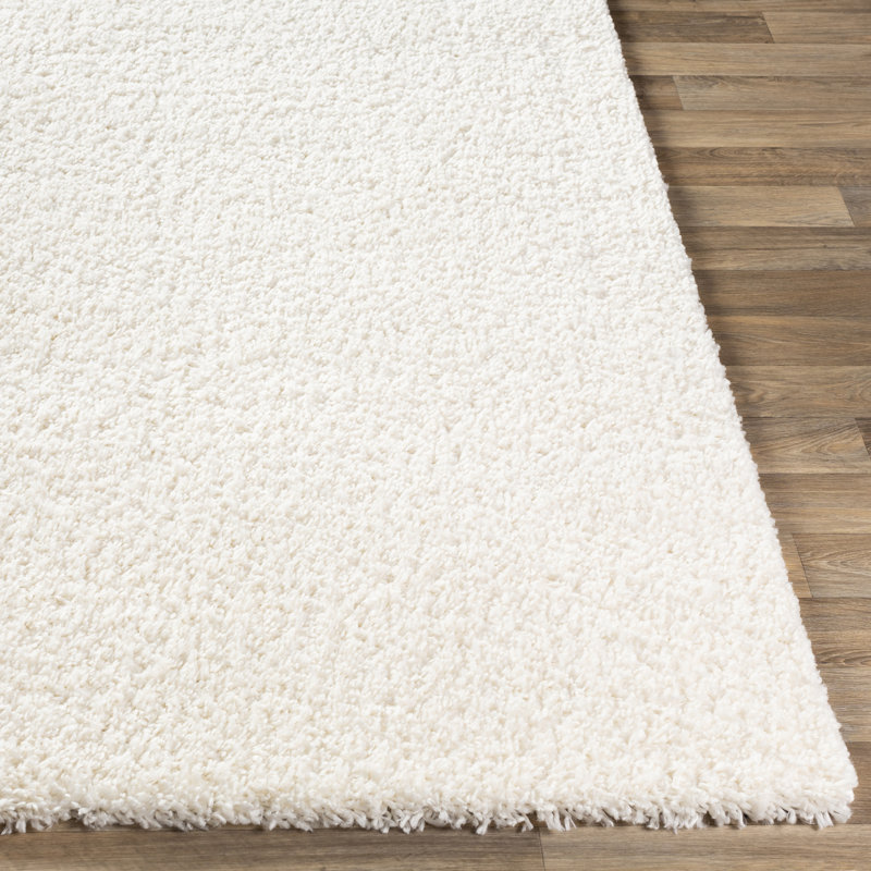 Bjarne Oriental Indoor Rug, Rectangle 4'3" x 5'7"
