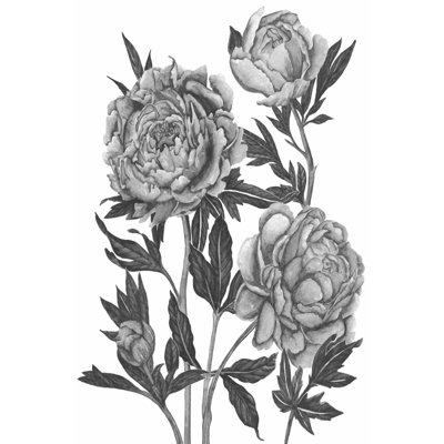 Fleurs en gris V