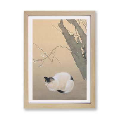 Cat & Plum Blossoms by Hishida Shunso - Framed Print