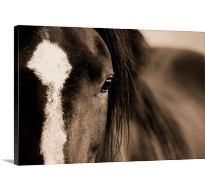 Kemani Dark Eyes by Lisa Dearing - Print