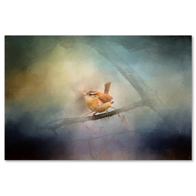 «Brighten My World Wren», impression sur toile tendue Vidur