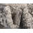 Walmoor Oriental Indoor Rug-29543839