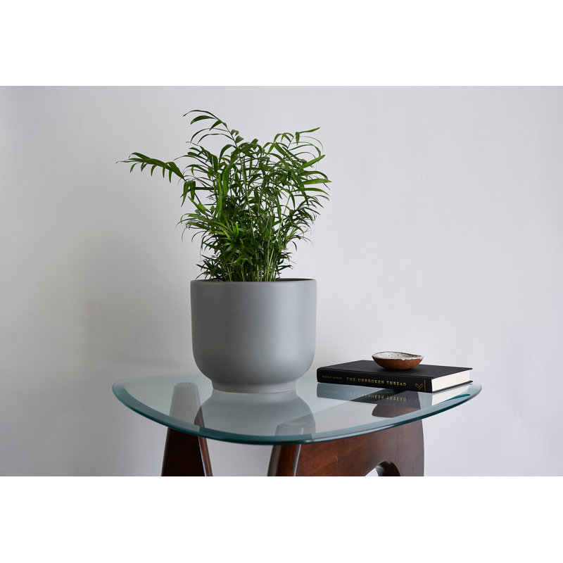 Handmade Ceramic Pot Planter, Gray, 7.75" H x 9" W x 9" D