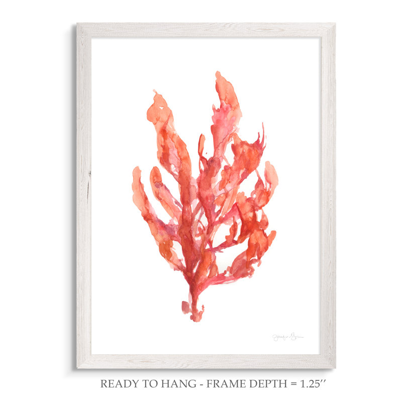 "coral kelp i" par paul cezanne-reproduction d’art sur toile encadrée, Toile blanche encadrée, H 28 po x l 38 po x 1,25 po