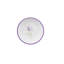 Alassane 12 Piece Dessert Plate Set