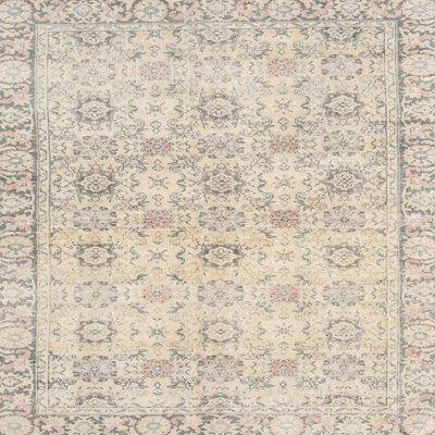 Aramantha Oriental Indoor Rug