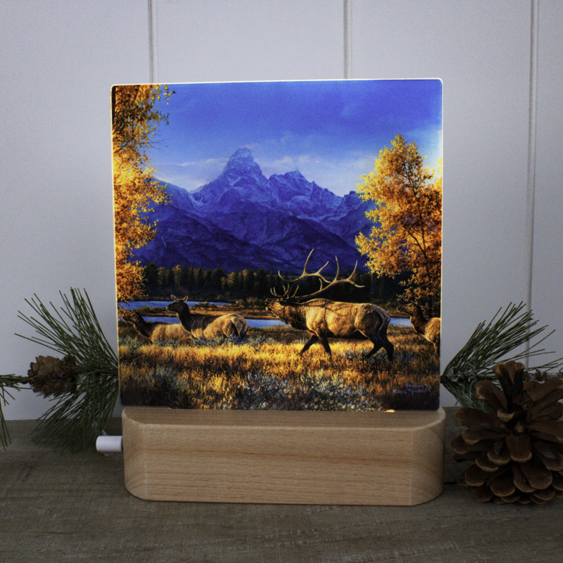 Veilleuse à DEL Teton Range