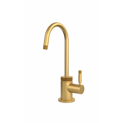 Industrial Cold Only Filtration Faucet - C-Spout