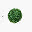 Topiaire buis ball plante-1320063272