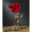Amaryllis Centerpiece in Vase