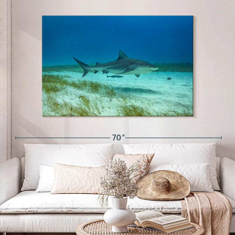 Habitat de requin taupe Brampt, H 34 po x l 51 po