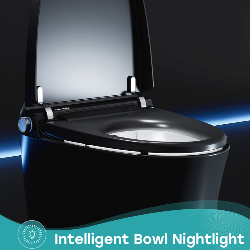 Black Vitreous China Smart Toilet with Dual Flush and Bidet