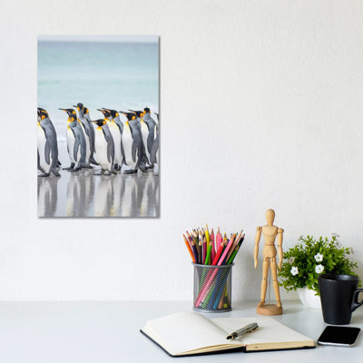 King Penguin On Falkland Islands. 1 Piece Wrapped Canvas Wall Art