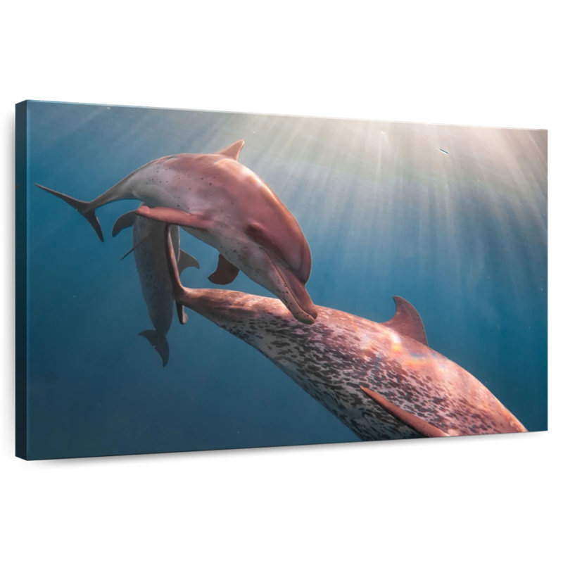 Brampt Amazon River Dolphins, 34" H x 51" W