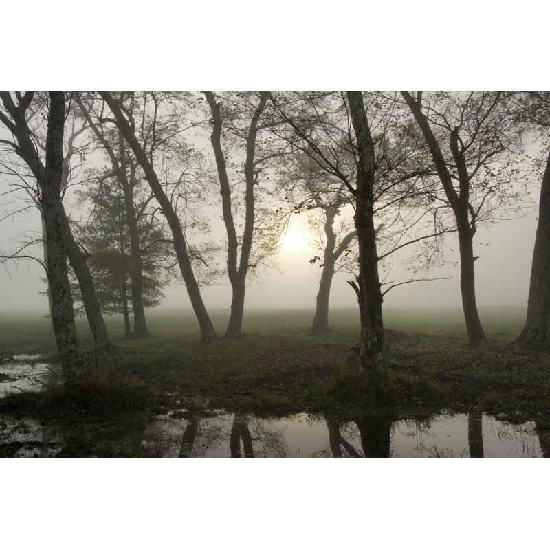 Reflections Of Nature by Danny Head - Wrapped Canvas Print, 20cm H x 30cm W
