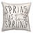 Throw Pillow-1061184121