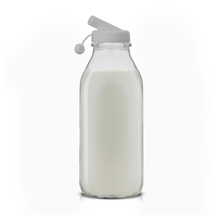 https://assets.wfcdn.com/im/75267067/resize-h755-w755%5Ecompr-r85/2345/234516267/Joyjolt+Reusable+Glass+Milk+Bottle+With+Lid+%26+Pourer.jpg