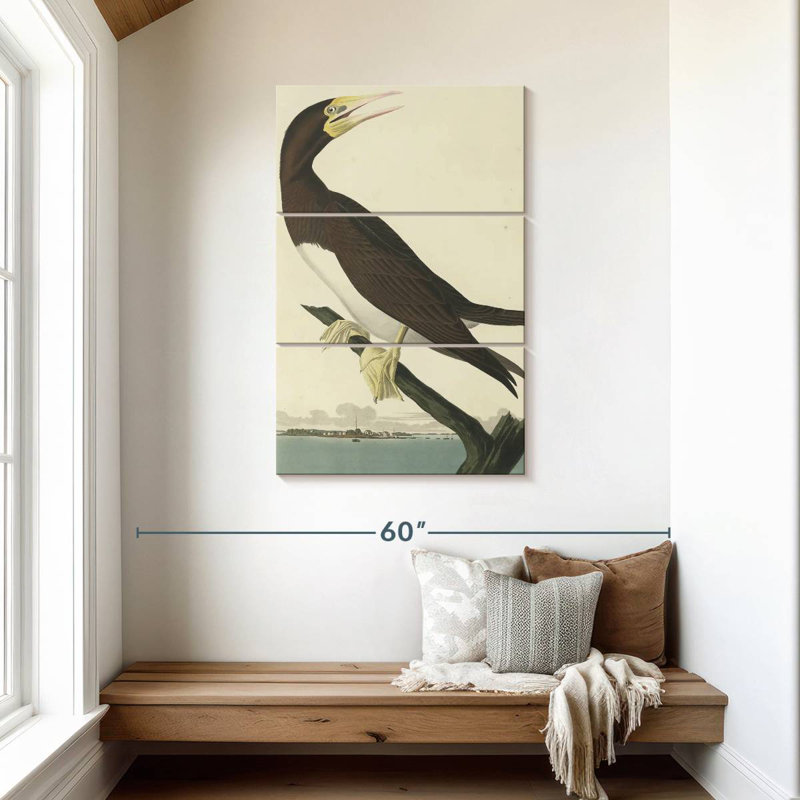 Brampt Booby Gannet, 45" H x 28" W