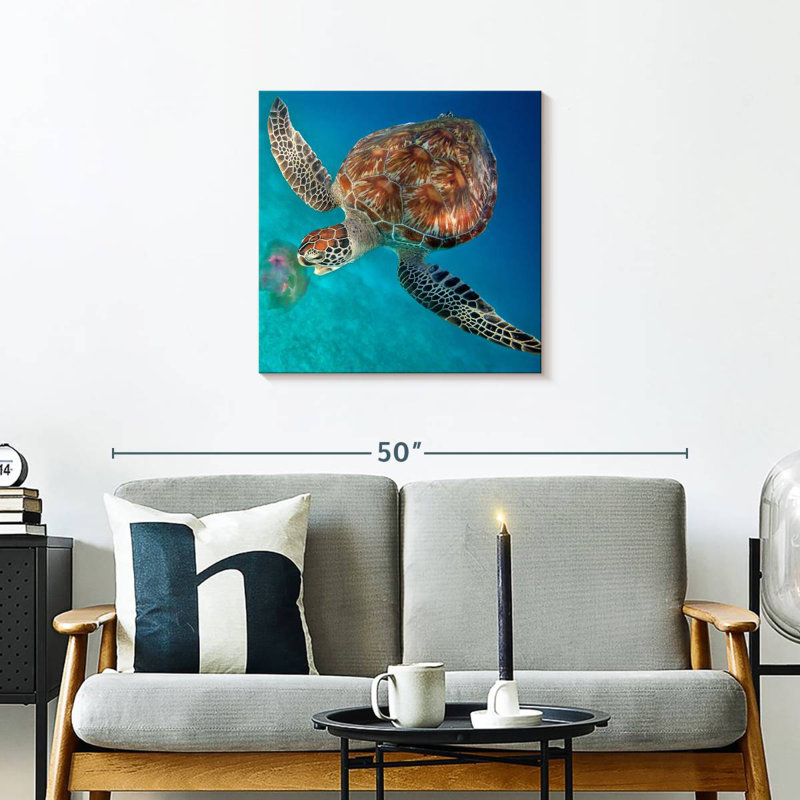 Crowle Turtle Eating Jellyfish, 24" H x 24" W