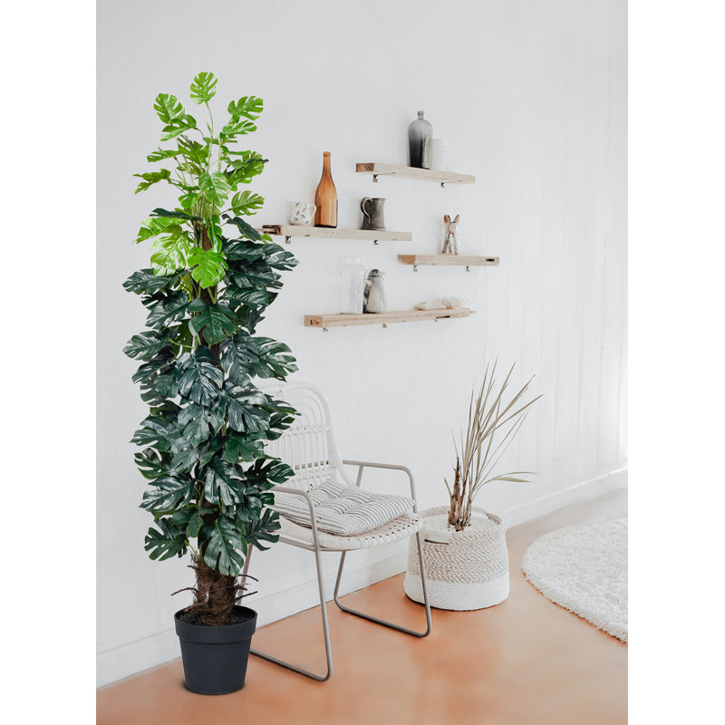 55 "plante à feuilles persistantes artificielle en pot
