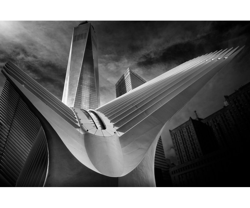 Wrapped Canvas Print, 60.96 cm H x 91.44 cm W