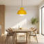Metal Body Dome Single Pendant-102476735