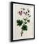 Reproduction encadrée antique de qualité florale antique - prête à être accrochée-69982888-69982890