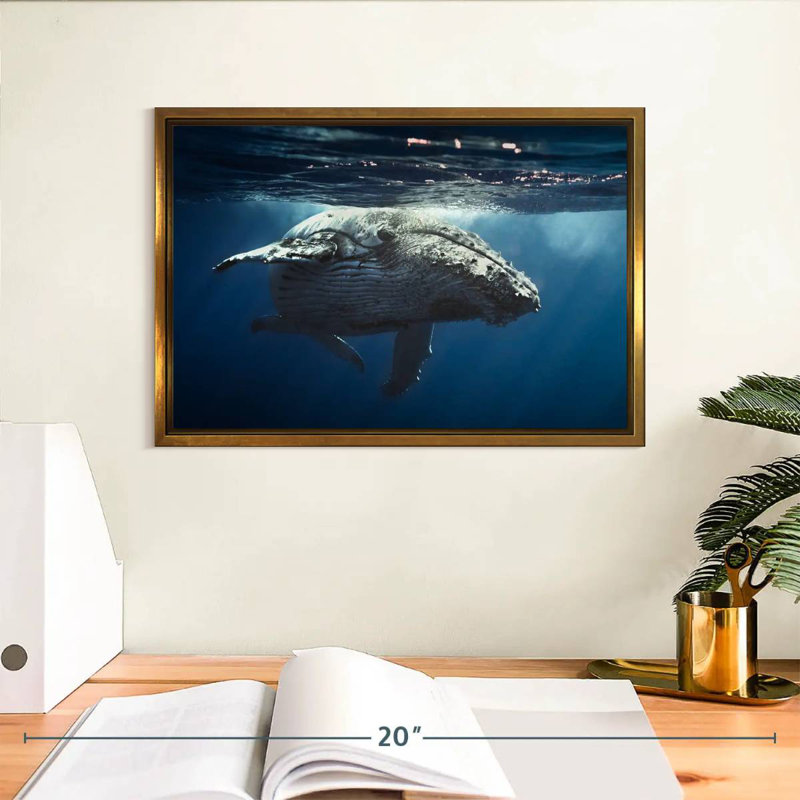 Baleine écumante, Cadre flottant doré, 13 po x 9 po