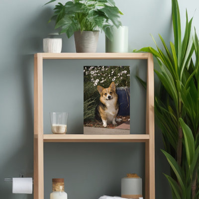 Pembroke Welsh Corgi Contemporary Dog Animal Portrait Wall Art