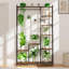 Naydeli plant stand