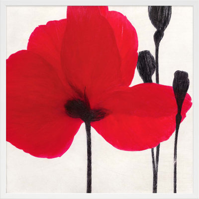 Red Poppies " Red Poppy 1 " by Ivo Stoyanov