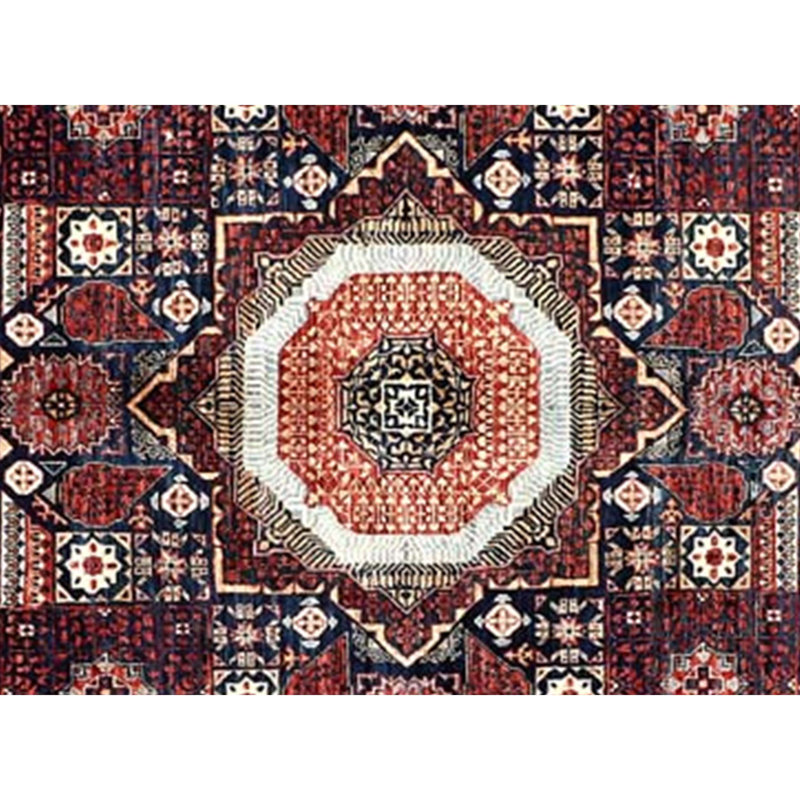 Hand Woven Wool Oriental Area Rug