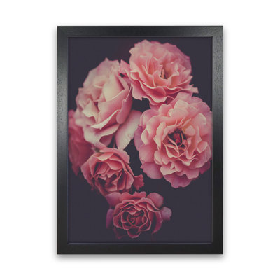 Dreamy Roses - No Frame Print