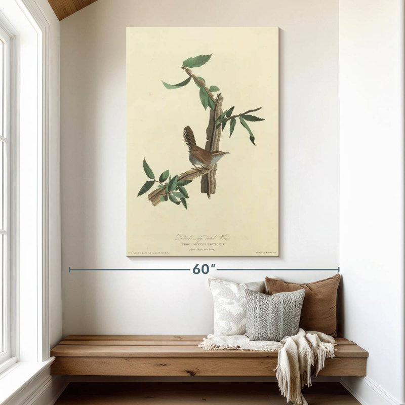 Keiri Bewick's Wren, 51" H x 34" W