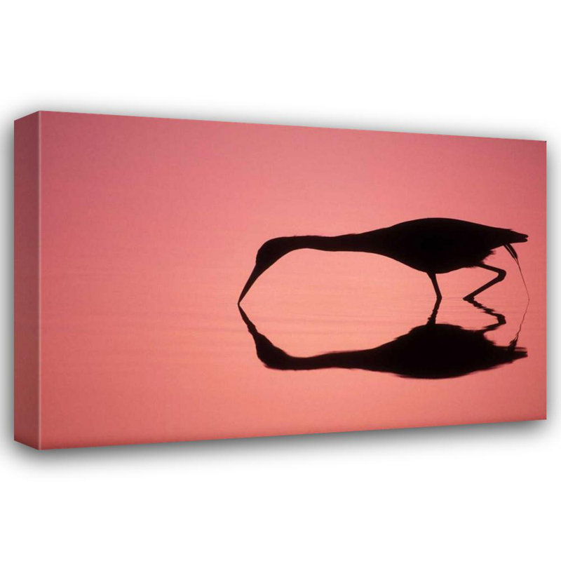 Art sur toile tendue, Rosecliff Heights Morris, Arthur, FL, Ding Darling, petit héron bleu, H 17 po x l 24 po