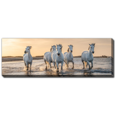 Chevaux blancs au galop, art mural sur toile