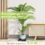 Support pour plante Deran-198298931