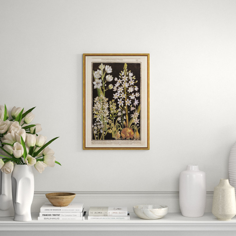 Botanicals Giclee Print by Robert John Thornton
