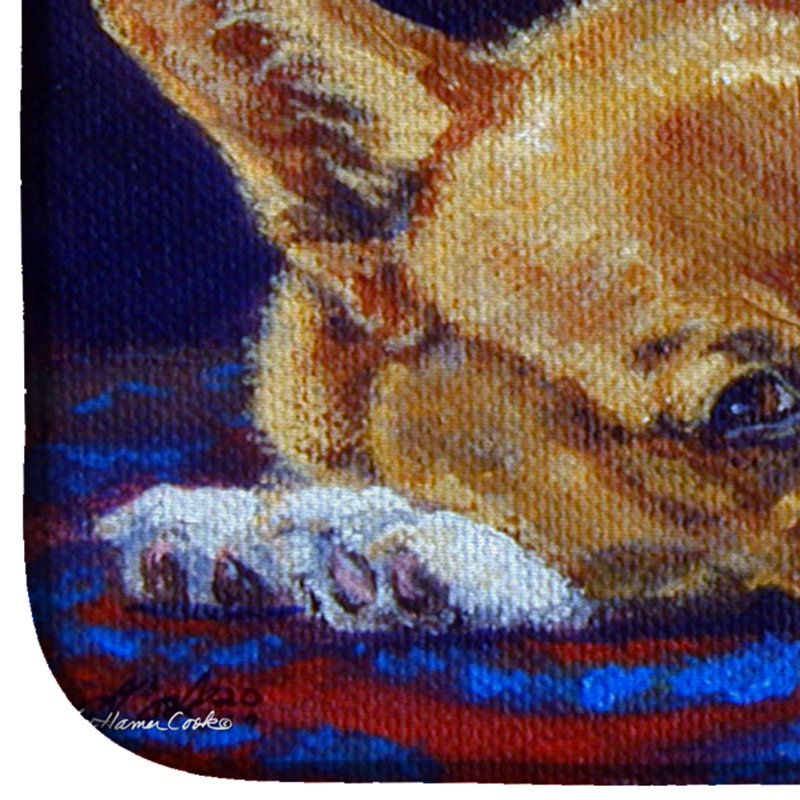 Drying Mat