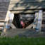 Chicken Coop with Chicken Run