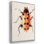Ladybug Display II - Multi Piece Framed Canvas-1466083336-1466083339