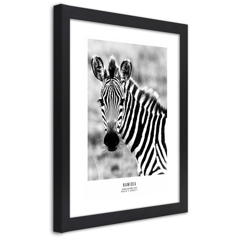 Zebra Animals Nature - Single Picture Frame Print, Black, 90cm H x 60cm W