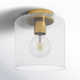 Lydia Single Light Glass Semi Flush Mount