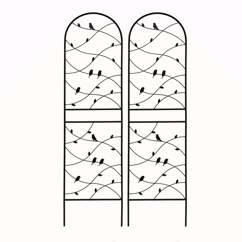 Ensemble de 2 treillis de jardin en métal antirouille 19,7 po pour plantes d'escalade, H 71,04 po x l 19,74 po