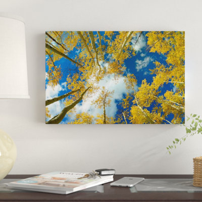 «Look Up At Blue Sky Through a Canopy of Fall Colored Aspen Trees, Colorado» par Tim Fitzharris - reproduction de photo sur toile tendue