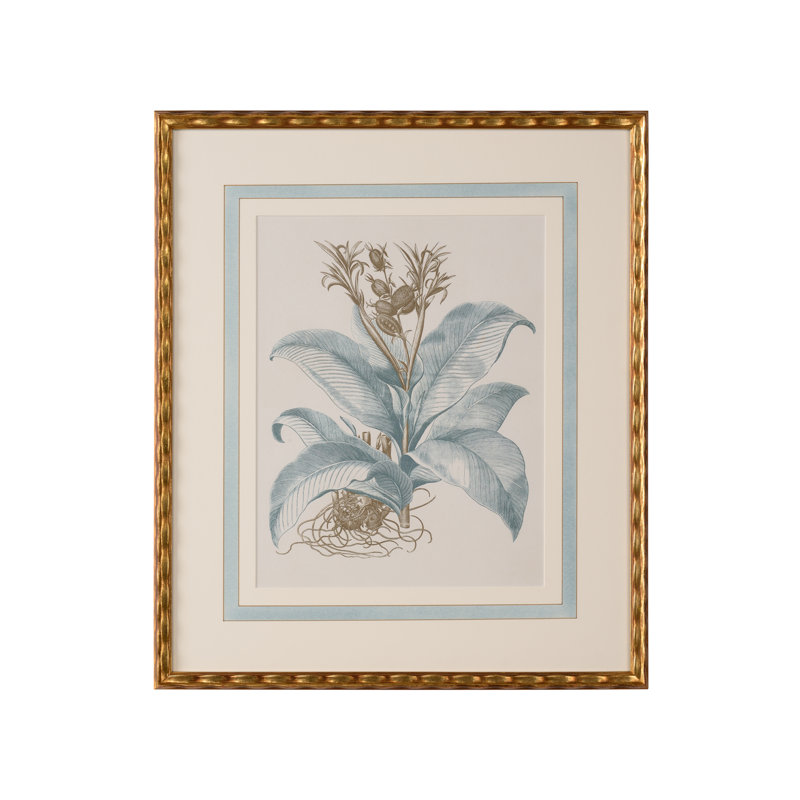 Besler Botanicals in Willow Blue III