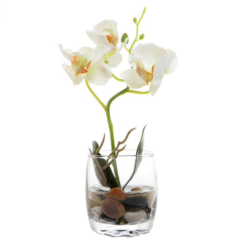 Orchid Arrangement in Vase