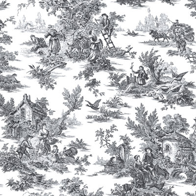 Ashford Toiles Toile Double Roll