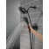 SAYLOR™ Monitor® 17 Series Shower Trim with In2ition®
