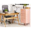 Montz 43 cm W Chest of 3 Drawers-19770888